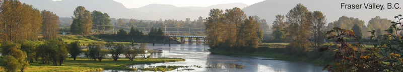 View of the bridge at Deroche in the Fraser Valley